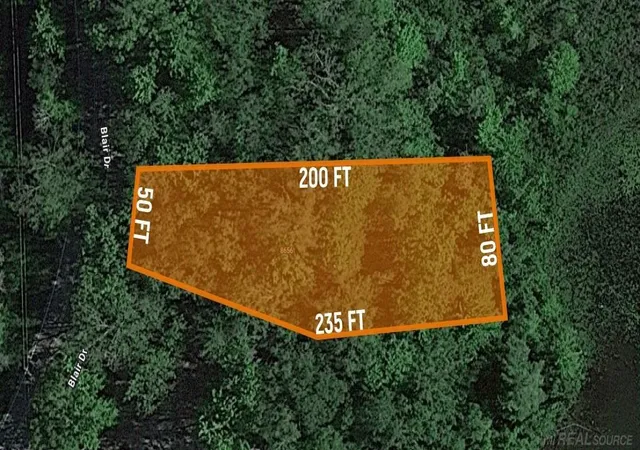 Photo 3 of Sale Pending at 8656 N Blair Dr, Bitely, MI 49309 | MLS# 50165506 | Listing updated on 2025-03-25