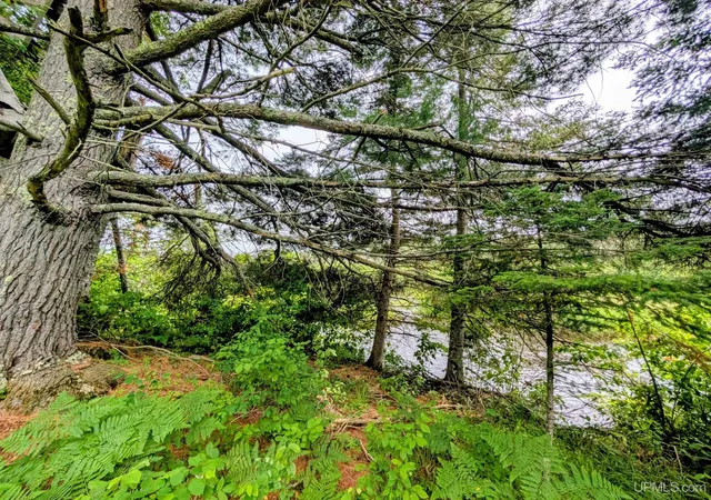 Homes for sale in Iron River, MI | Tbd Pond Rd, Iron River, MI 49935 | MLS# 50213726