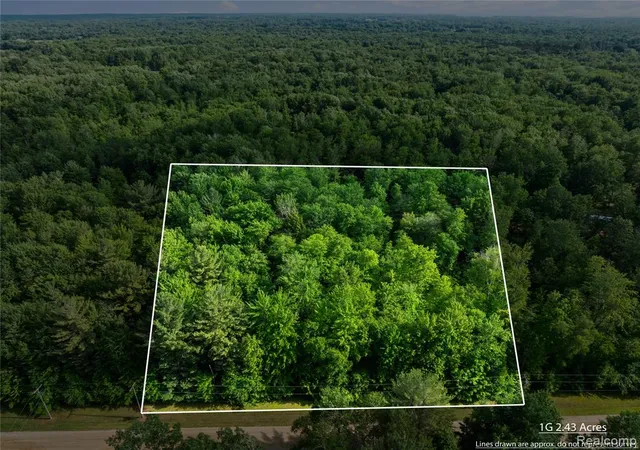 Homes for sale in Vassar, MI | #0015 V/l Birch Ln, Vassar, MI 48768 | MLS# 60976412
