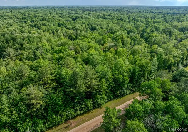 Homes for sale in Vassar, MI | #0015 V/L Birch Ln, Vassar, MI 48768 | MLS# 60976412