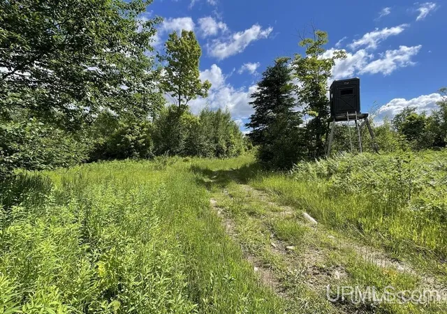 Photo 20 of Single family home for sale at 243 Net River Rd, Crystal Falls, MI 49920 | MLS# 50217182 | Listing updated on 2026-08-03