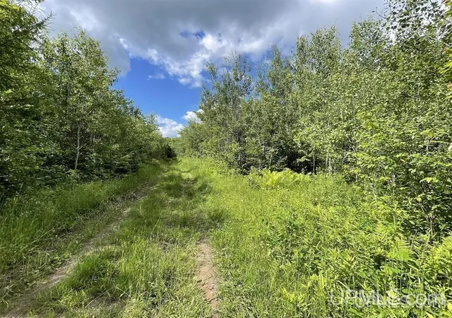 Photo 3 of Single family home for sale at 243 Net River Rd, Crystal Falls, MI 49920 | MLS# 50217182 | Listing updated on 2026-08-03