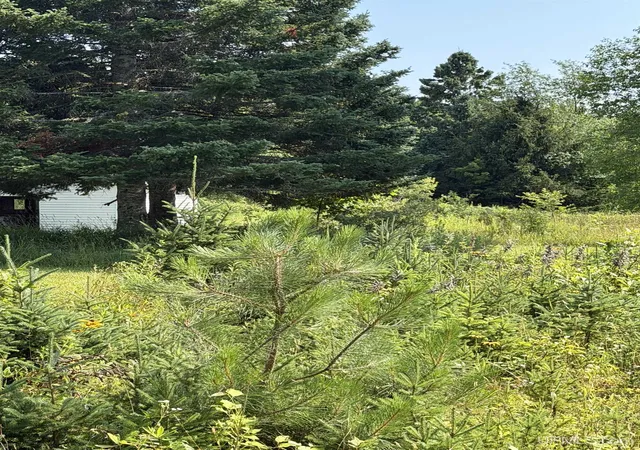 Photo 2 of Land for sale at 30910 Luoto Rd, Pelkie, MI 49958 | MLS# 50216185 | Listing updated on 2026-07-31