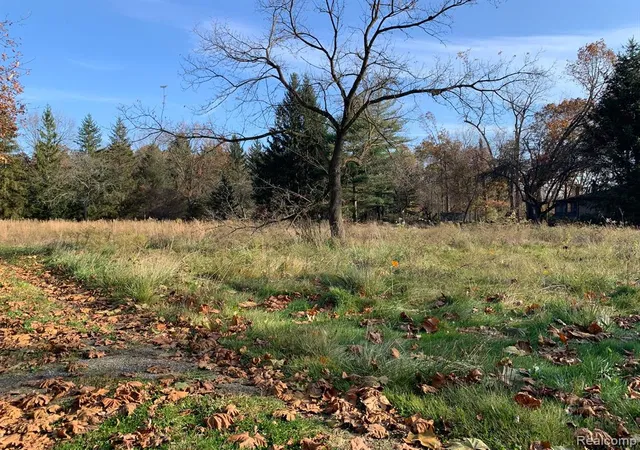 3rd image of Vacant Merriman Rd, New Boston, MI 48164 9458 | MLS# 60269012