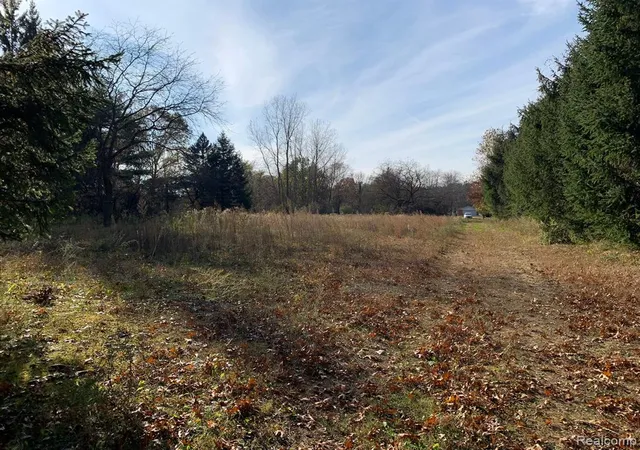 4th image of Vacant Merriman Rd, New Boston, MI 48164 9458 | MLS# 60269012