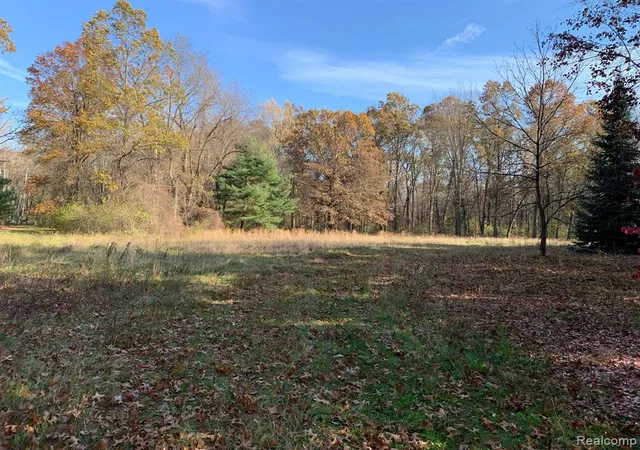 5th image of Vacant Merriman Rd, New Boston, MI 48164 9458 | MLS# 60269012