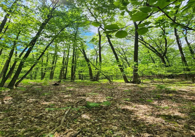 Homes for sale in Farwell, MI | Lot 827 Hemlock Ln, Farwell, MI 48622 | MLS# 50143017