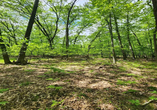 Homes for sale in Farwell, MI | Lot 827 Hemlock Ln, Farwell, MI 48622 | MLS# 50143017