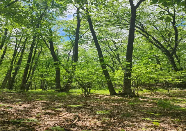 Homes for sale in Farwell, MI | Lot 827 Hemlock Ln, Farwell, MI 48622 | MLS# 50143017