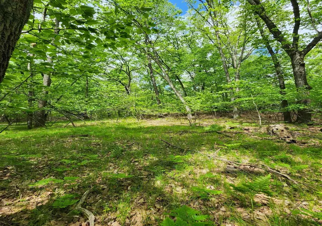 Homes for sale in Farwell, MI | Lot 827 Hemlock Ln, Farwell, MI 48622 | MLS# 50143017