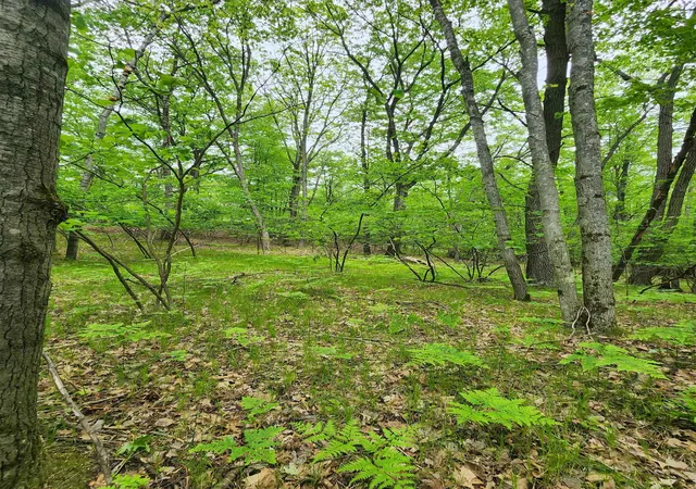 Homes for sale in Farwell, MI | Lot 827 Hemlock Ln, Farwell, MI 48622 | MLS# 50143017