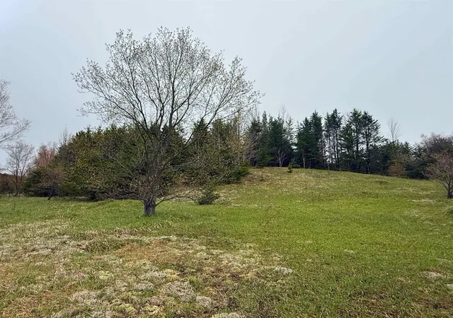 Homes for sale in Thompsonville, MI | 00 W County Line Rd, Thompsonville, MI 49683 | MLS# 80067540