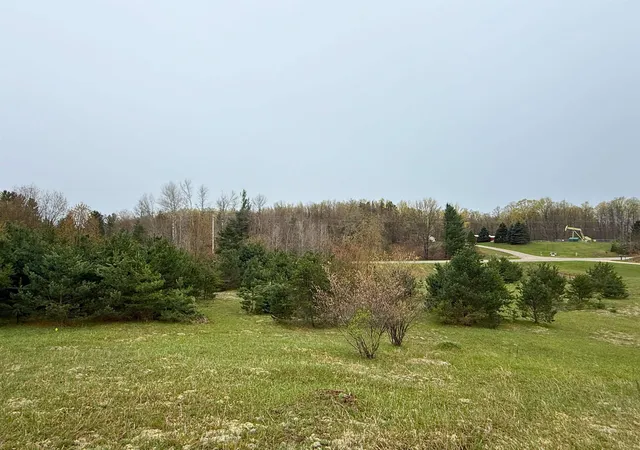 Homes for sale in Thompsonville, MI | 00 W County Line Rd, Thompsonville, MI 49683 | MLS# 80067540