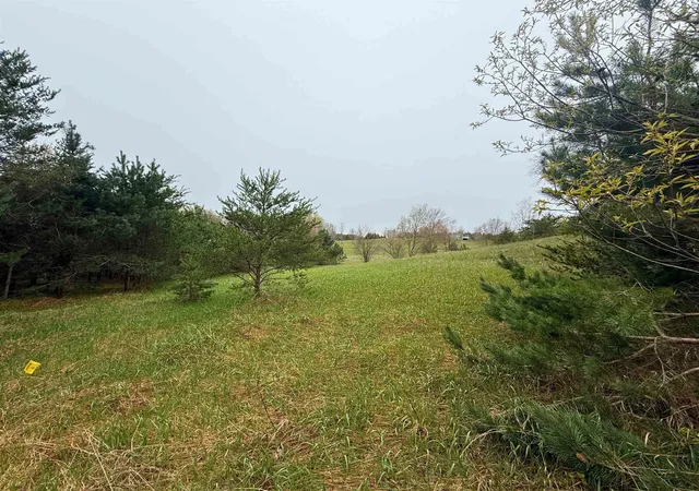 Homes for sale in Thompsonville, MI | 00 W County Line Rd, Thompsonville, MI 49683 | MLS# 80067540