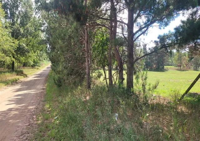 4th image of N 88Th Ave Ave, Pentwater, MI 49449 | MLS# 70490227