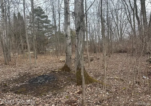 Homes for sale in Silverwood, MI | 4250 Midway Rd, Silverwood, MI 48760 | MLS# 60973729