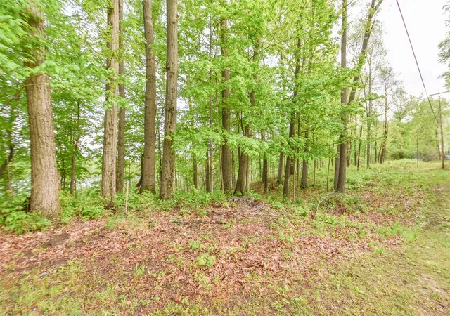Photo 3 of Land for sale at 2480 Bluff Dr, Reading, MI 49274 | MLS# 70533236 | Listing updated on 2026-08-18