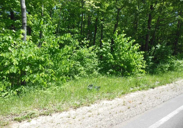 Photo 1 of Land for sale at Lot 26 Rodgers Rd, Harrison, MI 48625 | MLS# 50210486 | Listing updated on 2026-06-16