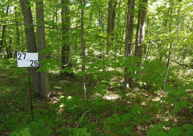 Photo 2 of Land for sale at Lot 26 Rodgers Rd, Harrison, MI 48625 | MLS# 50210486 | Listing updated on 2026-06-16