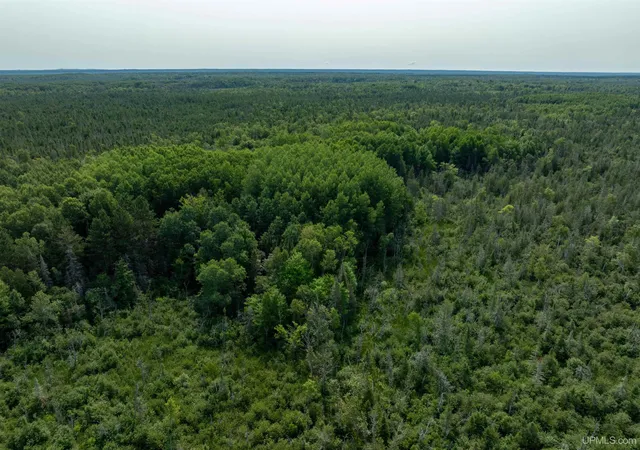 Photo 2 of Sale Pending at Tbd Us Hwy 41, Rapid River, MI 49878 | MLS# 50218783 | Listing updated on 2026-10-05