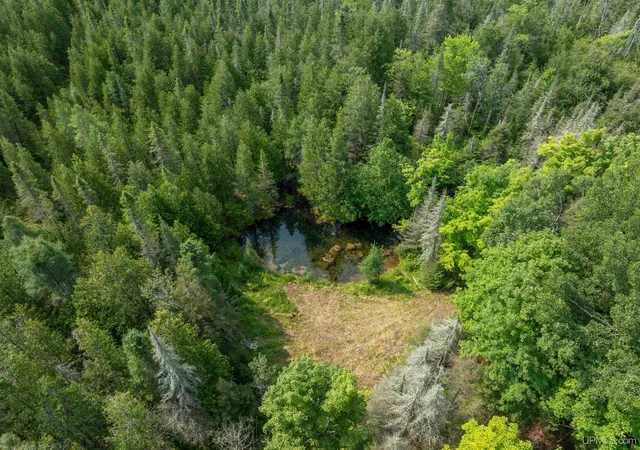 Photo 4 of Sale Pending at Tbd US Hwy 41, Rapid River, MI 49878 | MLS# 50218783 | Listing updated on 2026-10-05