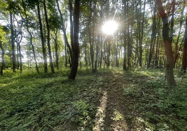 Photo 2 of Land for sale at V/l Knight Rd, Marcellus, MI 49067 | MLS# 70540389 | Listing updated on 2026-08-17