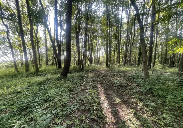 Photo 3 of Land for sale at V/l Knight Rd, Marcellus, MI 49067 | MLS# 70540389 | Listing updated on 2026-08-17
