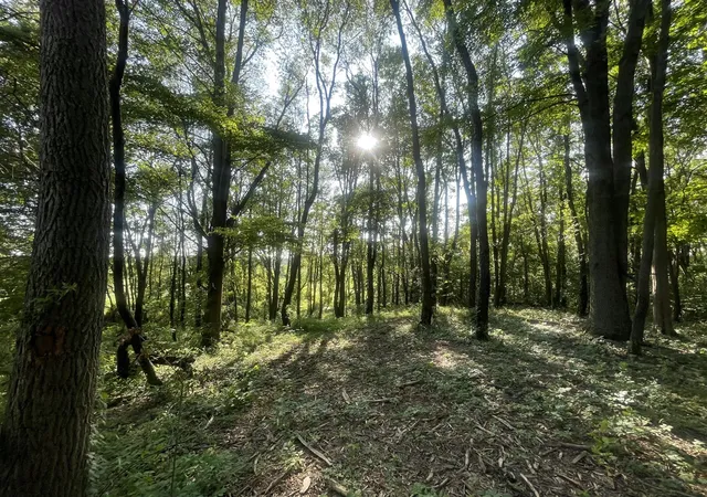 Photo 3 of Land for sale at V/l Knight Rd, Marcellus, MI 49067 | MLS# 70540389 | Listing updated on 2026-08-17