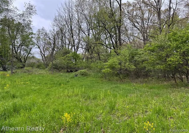 Photo 3 of Sale Pending at Vl Dutton Rd, Gregory, MI 48137 | MLS# 60993639 | Listing updated on 2026-05-21