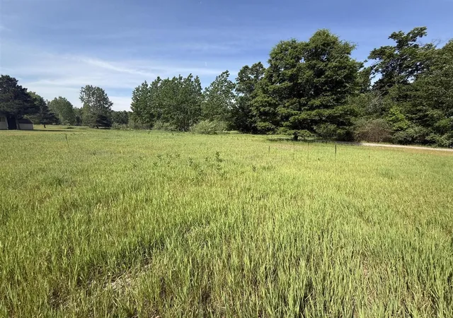 Homes for sale in Stanwood, MI | W Royal Rd, Stanwood, MI 49346 | MLS# 70537466