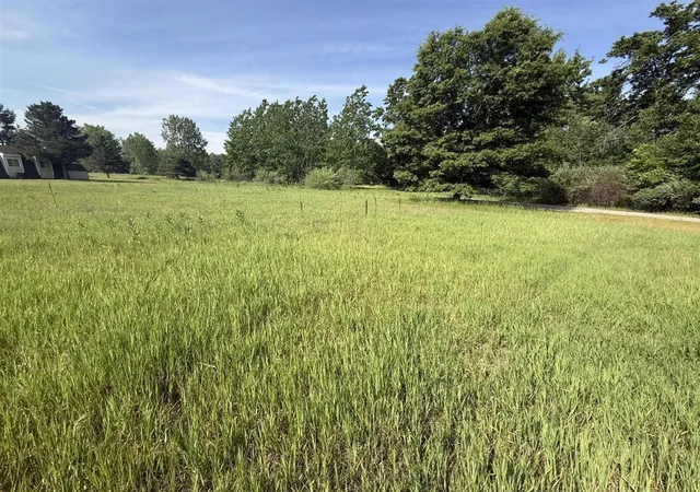 Homes for sale in Stanwood, MI | W Royal Rd, Stanwood, MI 49346 | MLS# 70537466