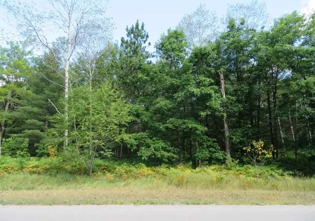 2nd image of 2205 Ne Driftwood, Kalkaska, MI 49646 | MLS# 80072488