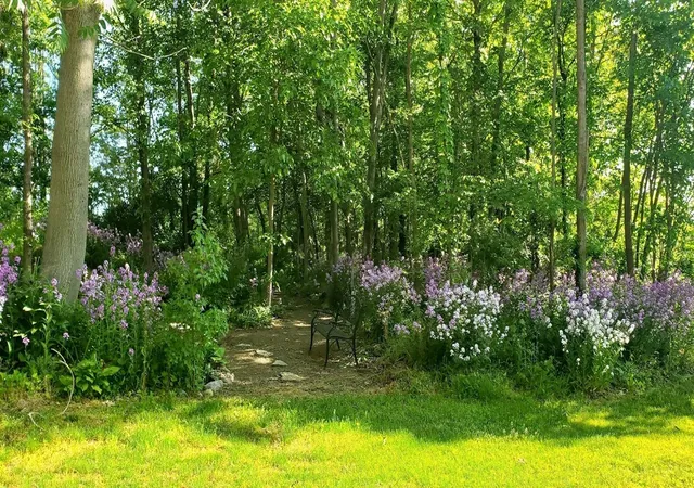3rd image of 63062 Lakeshore Dr, Dowagiac, MI 49047 | MLS# 70540589