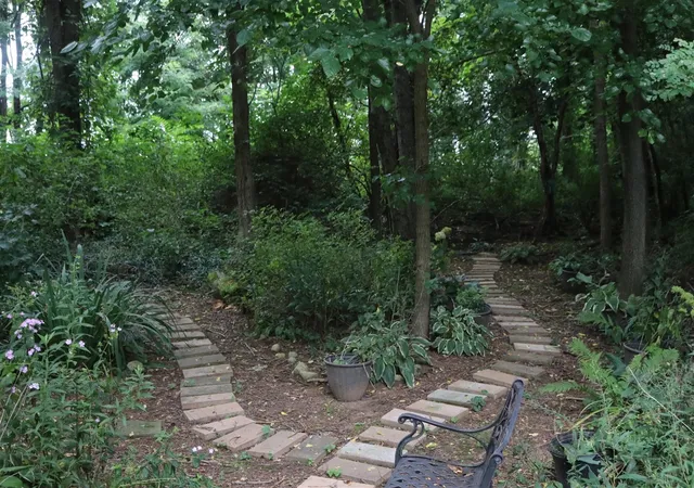 4th image of 63062 Lakeshore Dr, Dowagiac, MI 49047 | MLS# 70540589