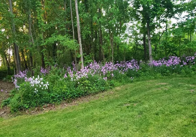 5th image of 63062 Lakeshore Dr, Dowagiac, MI 49047 | MLS# 70540589