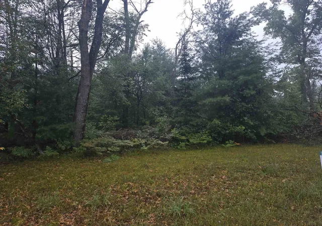 Photo 3 of Land for sale at 10241 Cathleen Dr, Harrison, MI 48625 | MLS# 50220336 | Listing updated on 2026-08-31