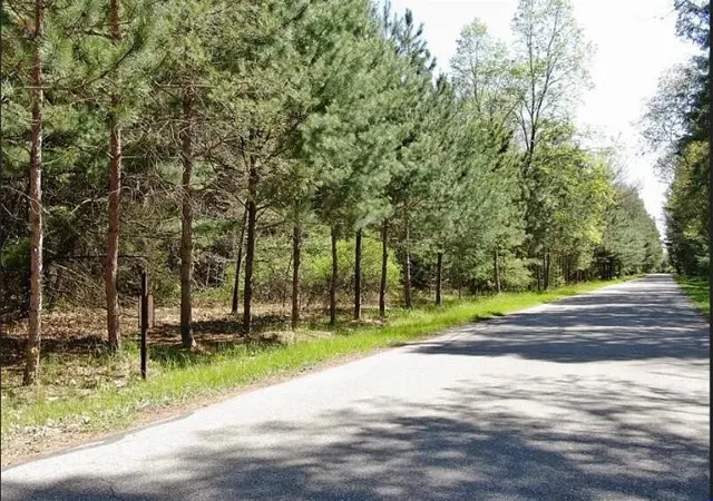 Photo 3 of Land for sale at 9101 Forest Pines Dr, Mecosta, MI 49332 | MLS# 70554168 | Listing updated on 2026-08-24