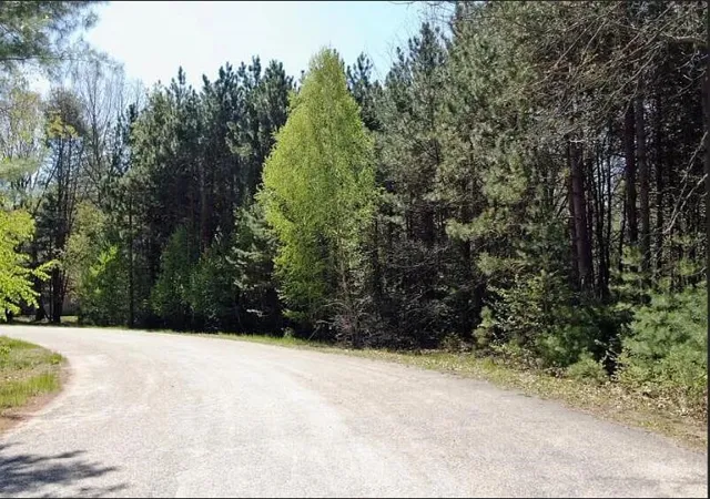 Photo 4 of Land for sale at 9101 Forest Pines Dr, Mecosta, MI 49332 | MLS# 70554168 | Listing updated on 2026-08-24