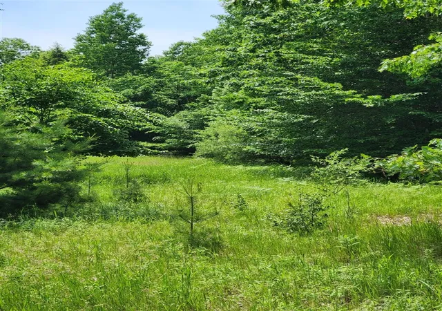 Photo 1 of Land for sale at 00 E Starlight Rdg Cir, Onekama, MI 49675 | MLS# 70548560 | Listing updated on 2026-07-30