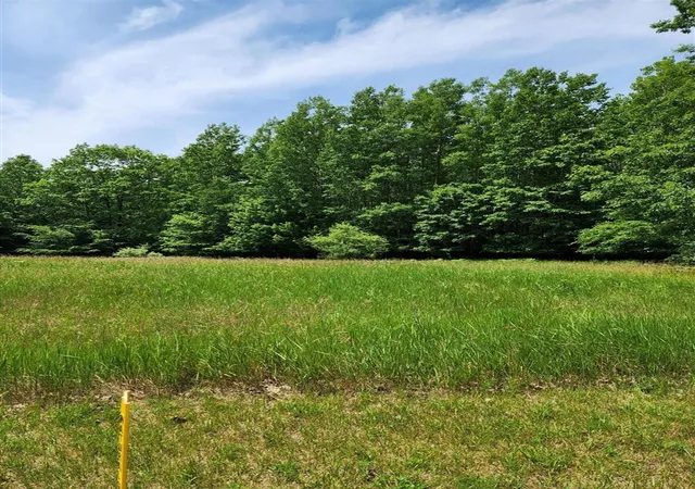 Photo 2 of Land for sale at 00 E Starlight Rdg Cir, Onekama, MI 49675 | MLS# 70548560 | Listing updated on 2026-07-30