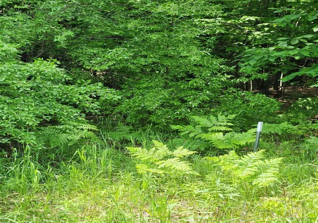 Photo 3 of Land for sale at 00 E Starlight Rdg Cir, Onekama, MI 49675 | MLS# 70548560 | Listing updated on 2026-07-30