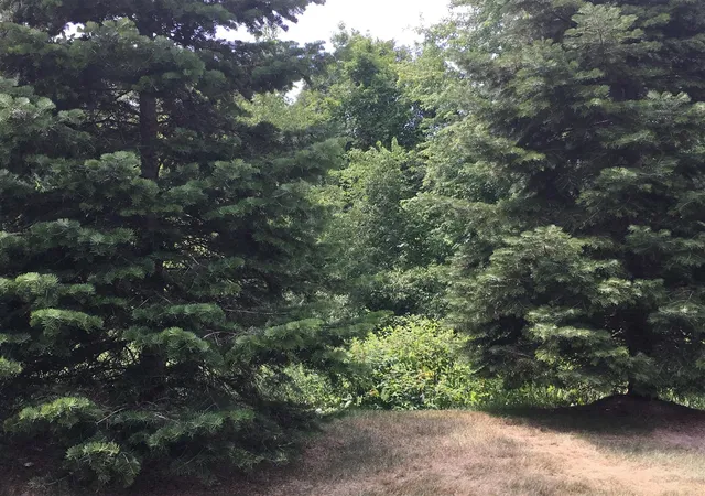 Photo 2 of Condo for sale at 20209 Chesapeake Cir, Walled Lake, MI 48390 | MLS# 70527713 | Listing updated on 2026-05-13