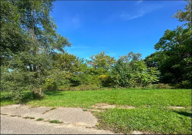 Photo 1 of Land for sale at 425 E Lorado Ave, Flint, MI 48505 | MLS# 50140909 | Listing updated on 2026-02-20