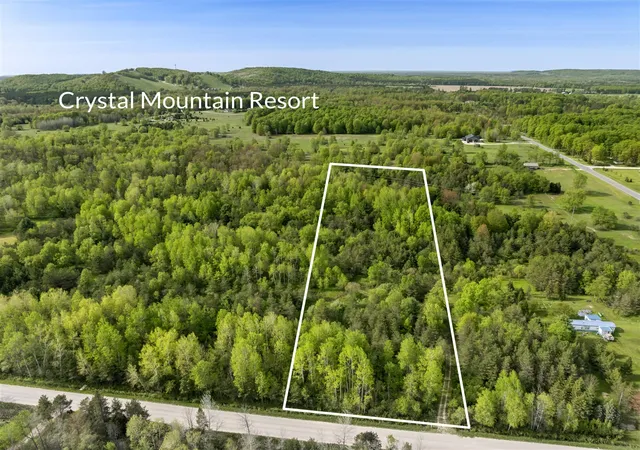 Homes for sale in Thompsonville, MI | 0 Dzuibanek Rd, Thompsonville, MI 49683 | MLS# 70528334