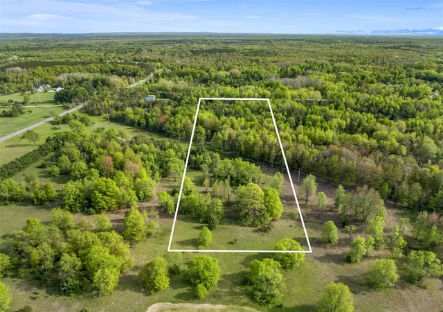 Homes for sale in Thompsonville, MI | 0 Dzuibanek Rd, Thompsonville, MI 49683 | MLS# 70528334