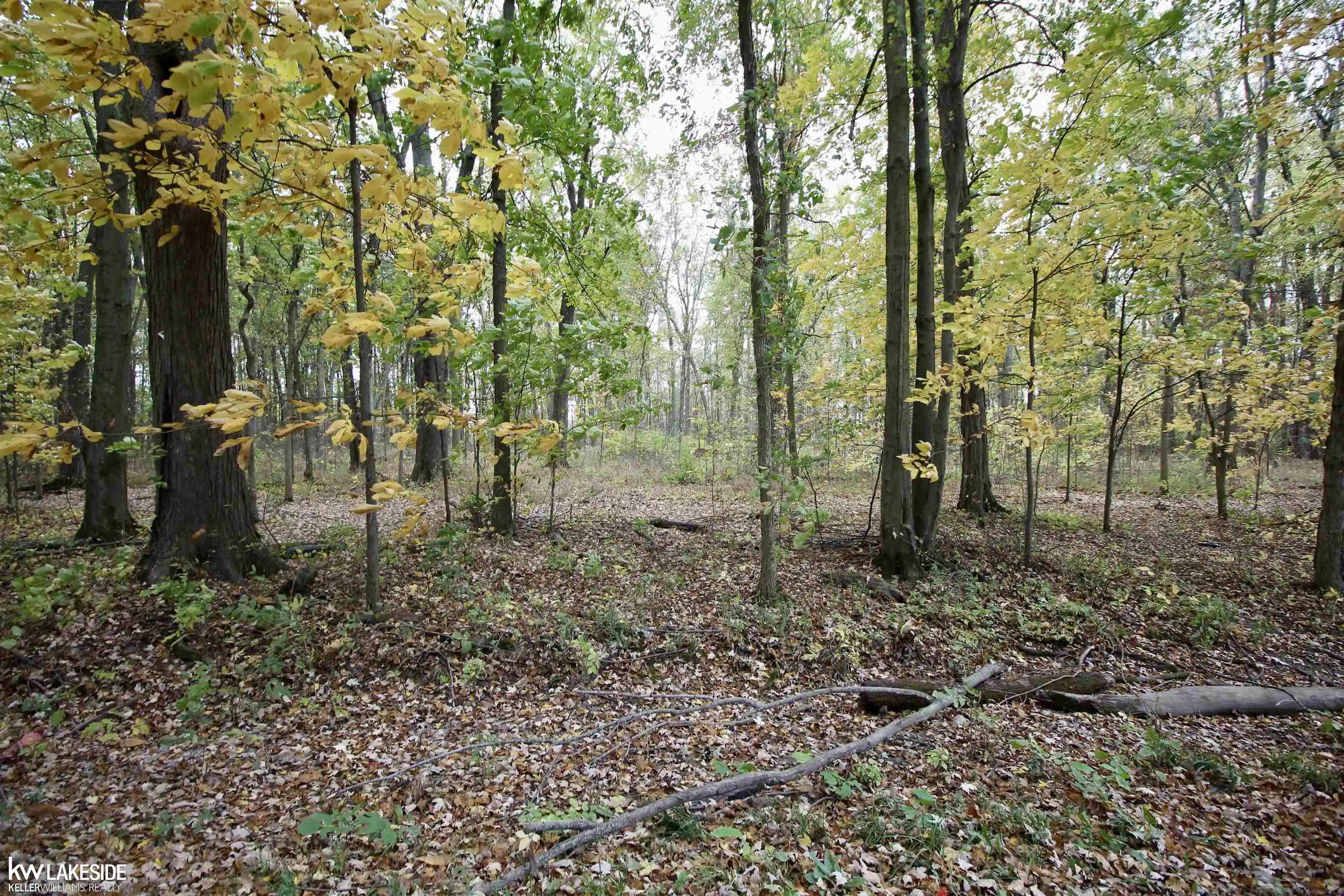 Photo 1 of Land for sale at 0 Dunn Rd, Riley, MI 48041 | MLS# 50225172 | Listing updated on 2026-10-19