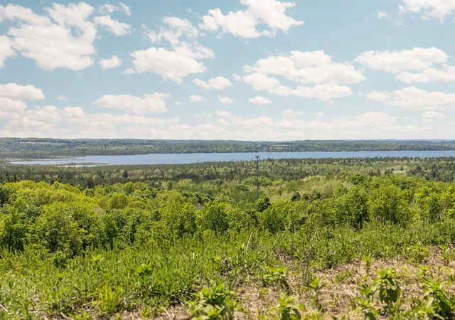 Photo 1 of Land for sale at J Retreats Way, Rapid City, MI 49676 | MLS# 80072054 | Listing updated on 2026-08-10