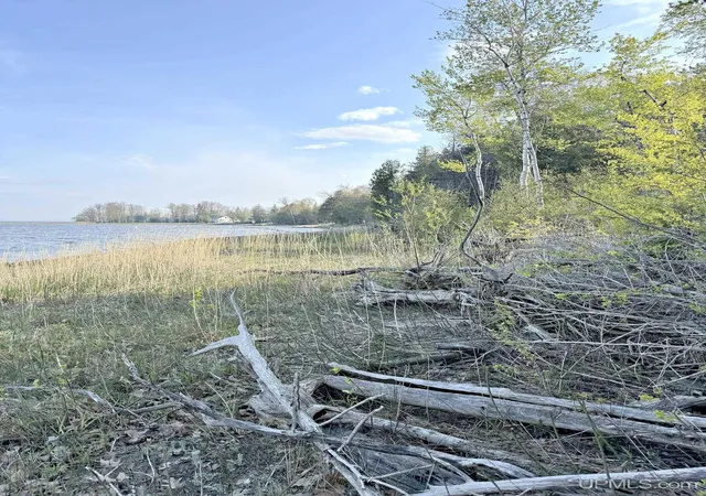 Homes for sale in Menominee, MI | Tbd Lot 2 M 35 Hwy, Menominee, MI 49858 | MLS# 50208394