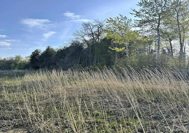 Homes for sale in Menominee, MI | Tbd Lot 2 M-35 Hwy, Menominee, MI 49858 | MLS# 50208394