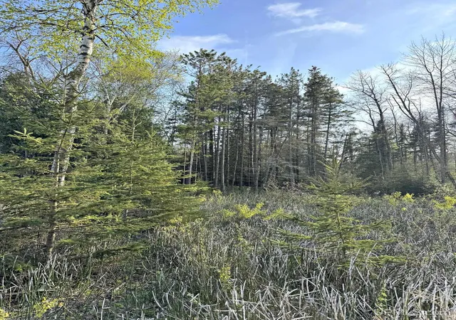Homes for sale in Menominee, MI | Tbd Lot 2 M-35 Hwy, Menominee, MI 49858 | MLS# 50208394